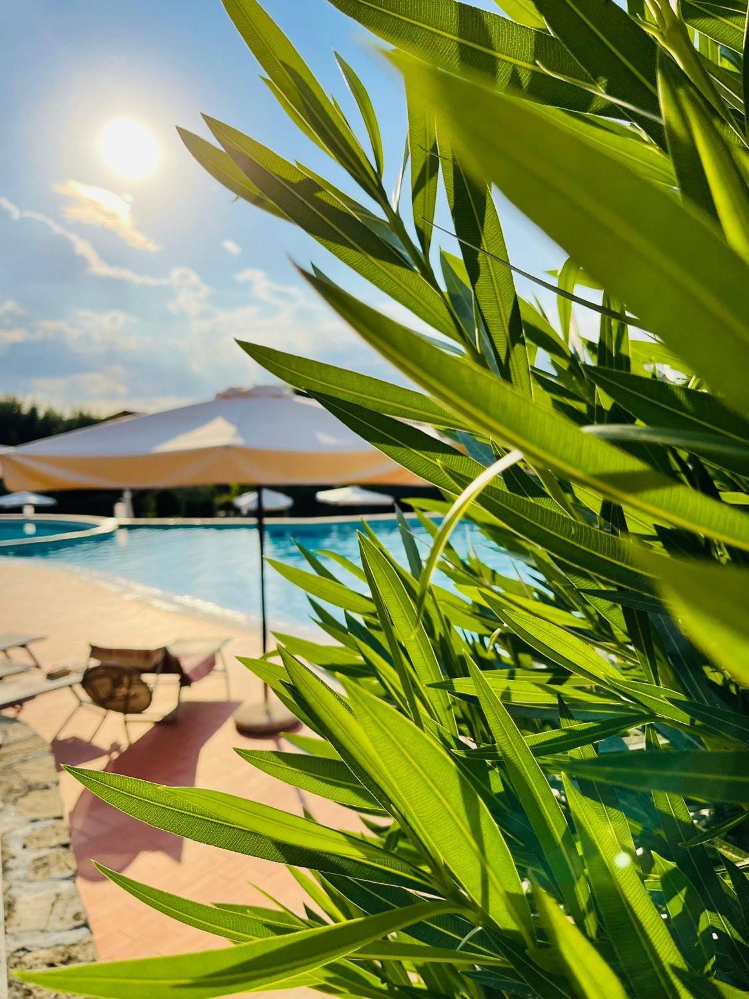 Borgo Del Torchio - Gardagate Apartment Manerba del Garda Ngoại thất bức ảnh